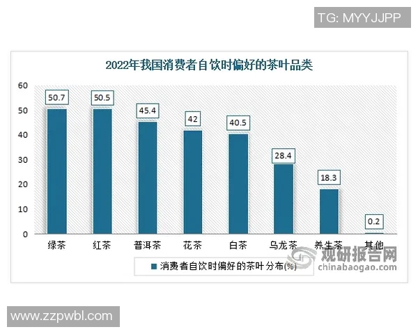 西安网球队的阵地战策略与发展现状深度分析