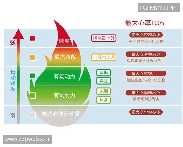 有氧运动助力健康生活 提升心肺功能与身体耐力的科学方法 有氧运动助力健康生活 提升心肺功能与身体耐力的科学方法